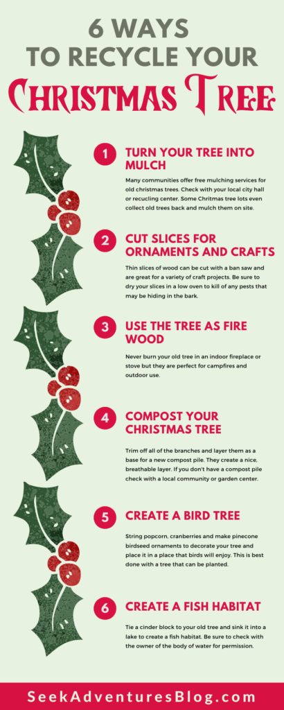 6 ways to recycle a christmas tree from seekadventuresblog.com