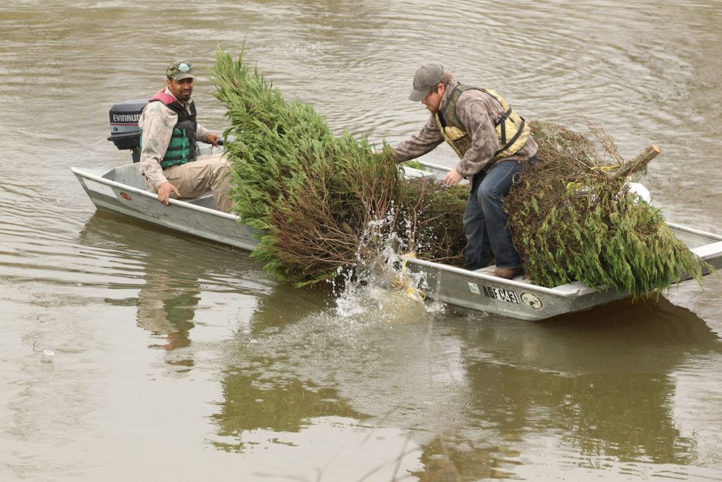 How to create a fish habitat with a Christmas tree. Sinking Christmas trees as fish habitats in a channel off the Arkansas River