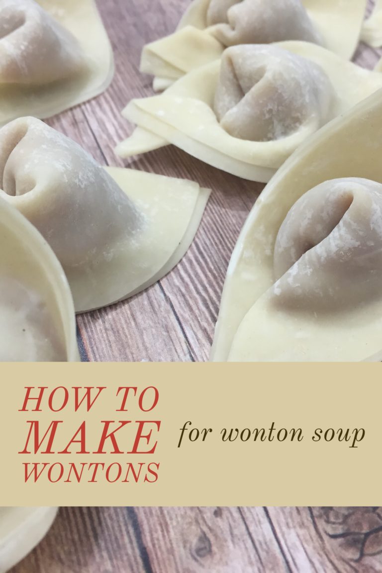 Wonton Soup and How to Fold Wontons for Wonton Soup