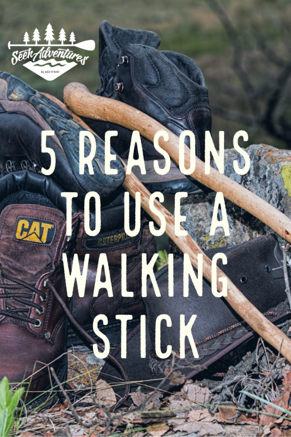 5 Reasons to Use a Walking Stick