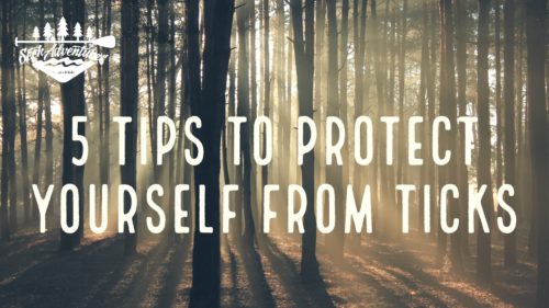 5 Tips to protect yourself from ticks. Tick Prevention is so important to protect yourself from Lyme Disease. Proper tick repellent and tick removal is a key factor in preventing tick diseases.