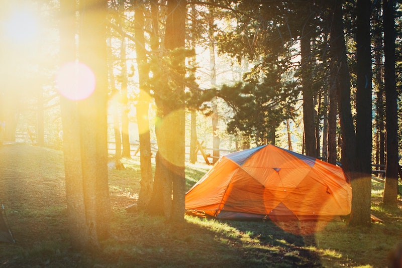 tent camping tent in the woods choose the right tent