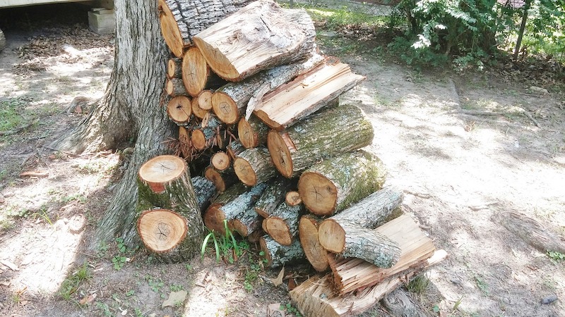 a large wood pile with lots of dry wood for a campfire