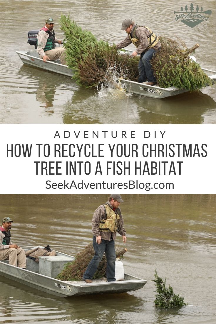 learn 6 ways to recycle your christmas tree including how to turn your christmas tree into a fish habitat DIY fish habitat