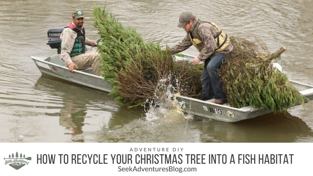 How to recycle your christmas tree into a fish habitat