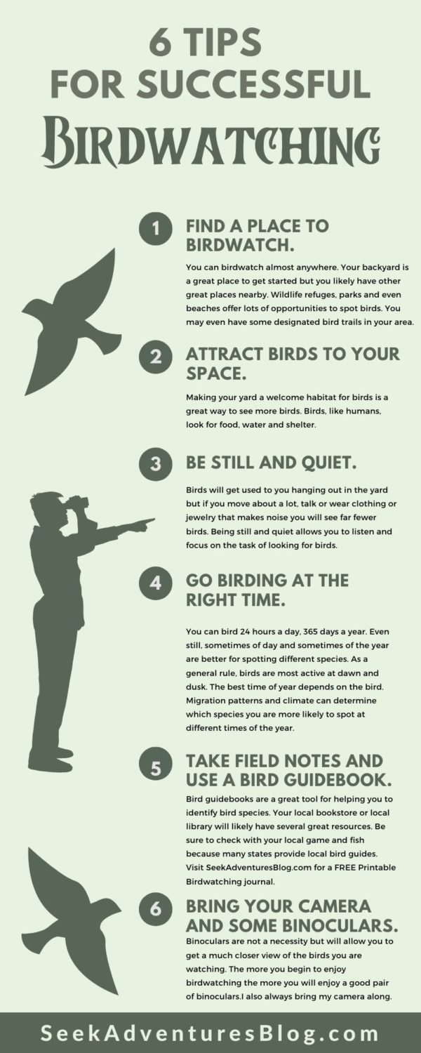 Birdwatching is a fun and inexpensive hobby. These 6 tips will help you have a successful birdwatching adventure. Learn to spot and identify wild birds and keep track of your findings with my free printable Birdwatching Field Journal PDF.
