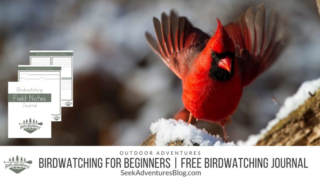 Birdwatching is a fun and inexpensive hobby. Learn to spot and identify wild birds and keep track of your findings with my free printable Birdwatching Field Journal PDF.