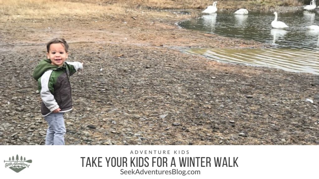 Winter is a great time to go for walks with your kids. Here are some great reasons why you should take your kids out for a winter walk.