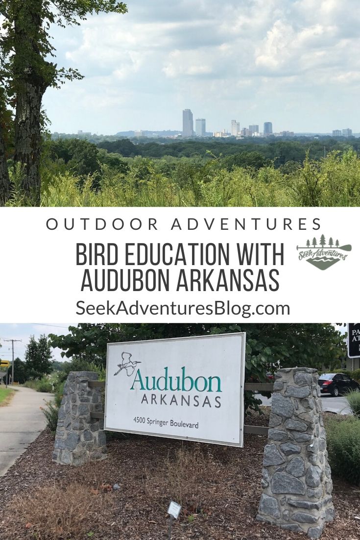Birds are an incredibly important contributor to our ecosystem and Audubon Arkansas exists to study and protect birds while educating the public about conservation and techniques for observing them in the wild. 