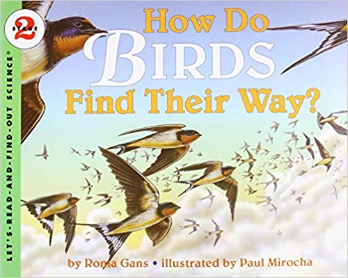 How do Birds Find Their Way