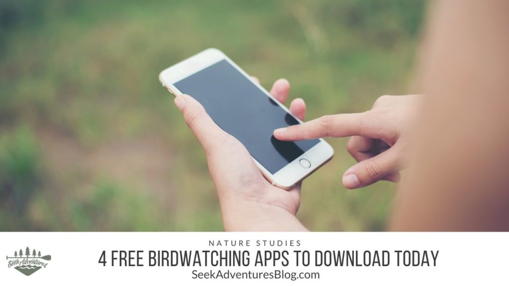 Being able to identify birds when you go birdwatching is half the fun. These four birdwatching apps are FREE and conveniently located on your phone and accessible with the touch of a button.