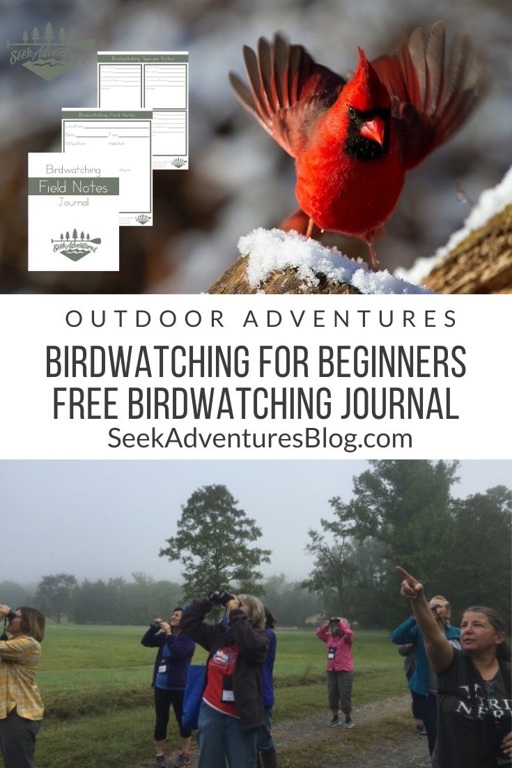 Birdwatching is a fun and inexpensive hobby. Learn to spot and identify wild birds and keep track of your findings with my free printable Birdwatching Field Journal PDF.