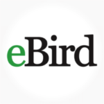 eBird Birdwatching App 