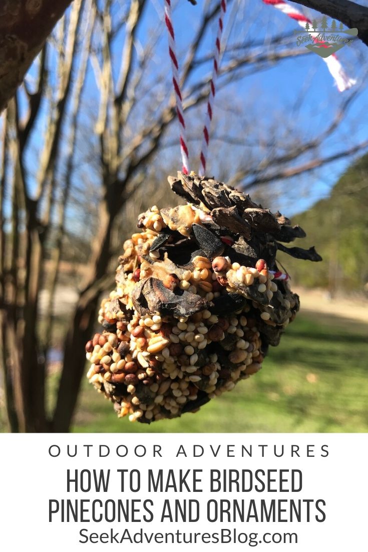 Attracting birds to your backyard is easy if you provide a pleasing environment. One of my favorite ways to do that is by creating a winter bird tree. It's fun and easy to do with the whole family. These birdseed ornaments and birdseed pinecones are fun and easy to make.
