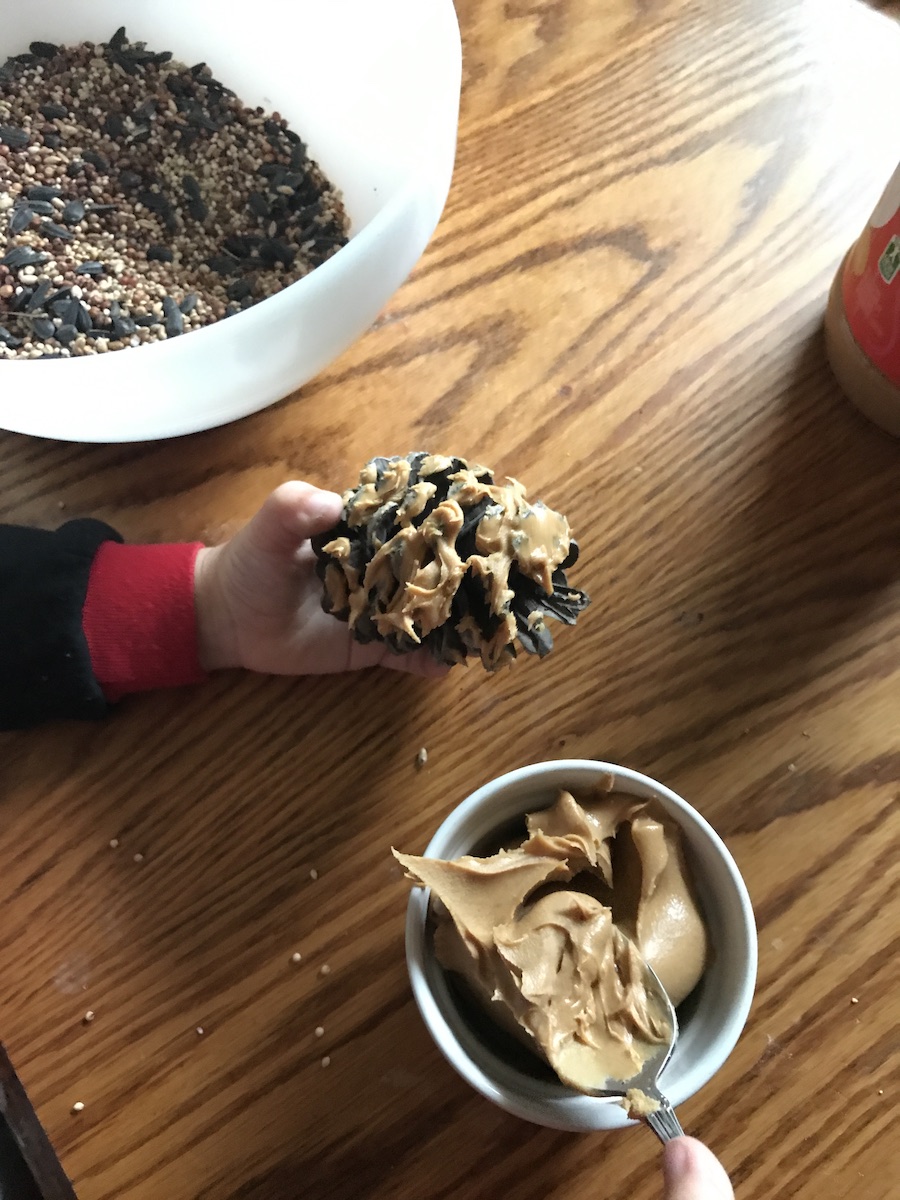 making birdseed pinecones