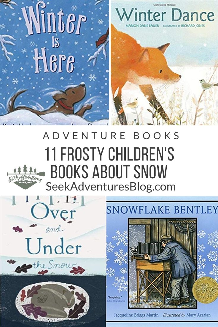 Books about snow
