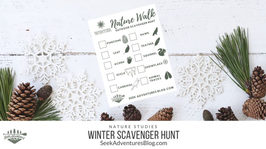 Winter nature walk scavenger hunt
