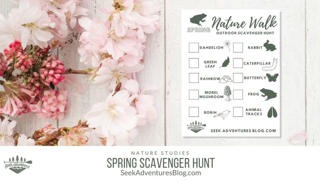 Spring is made for spending time outdoors playing and exploring. A Spring Scavenger Hunt is a fun way to explore nature in the spring.