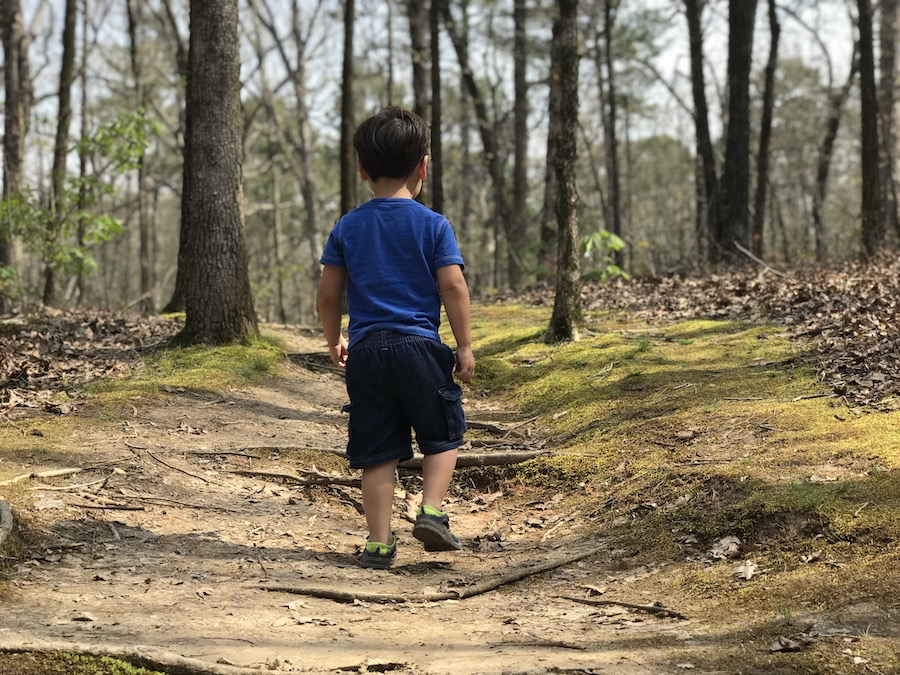 Kids love hiking in the woods in the spring.