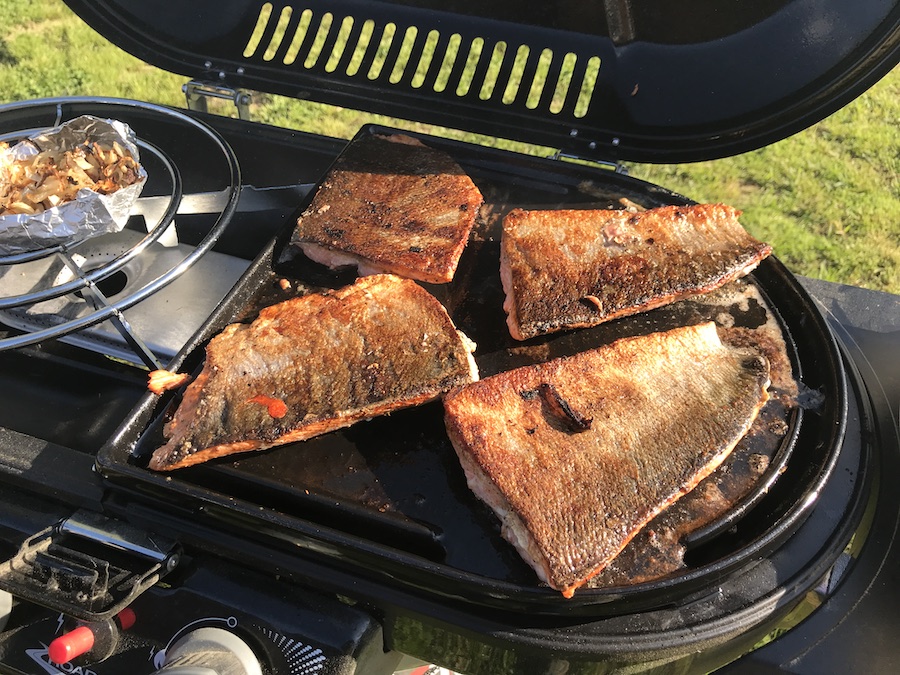 crispy grilled salmon skins