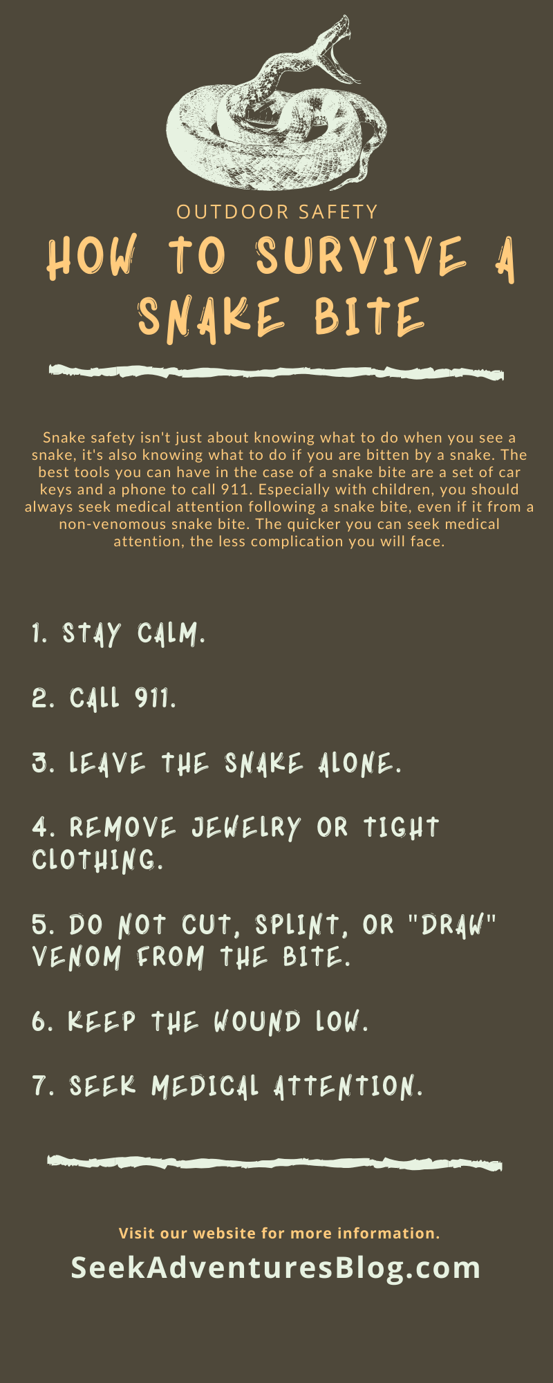 Infographic with seven tips on how to survive a snake bite