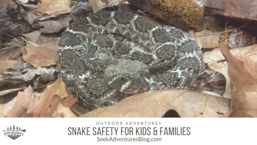 Snakes are a part of being outdoors and if you share the world with venomous snakes there are some steps you need to take to keep yourself and your kids safe. Snake safety can keep you from getting injured so you can enjoy your time in the outdoors. When you head outside this season, practice these snake safety tips.