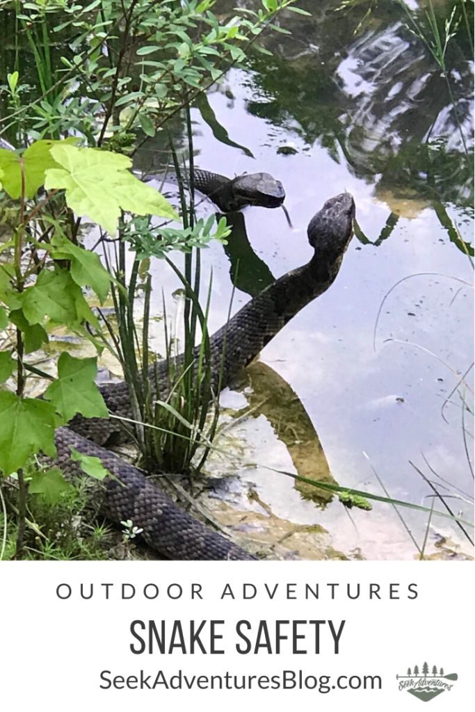 Snake Safety for Kids and Families