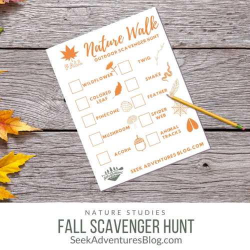 Winter Nature Walk Outdoor Scavenger Hunt | Seek Adventures Blog